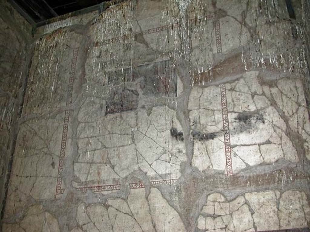 V.14/16, Herculaneum. September 2003. South wall of cubiculum E, or room 7, on upper floor.
Photo courtesy of Nicolas Monteix.